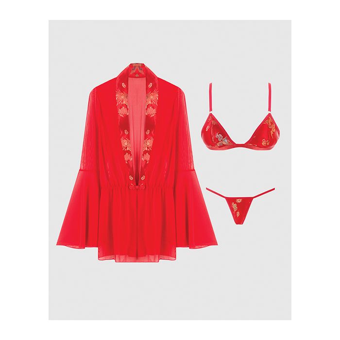 Dragon Sheer Mesh Robe w/bra and thong set