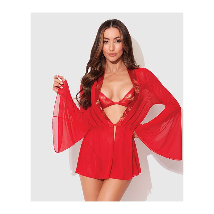 Dragon Sheer Mesh Robe w/bra and thong set